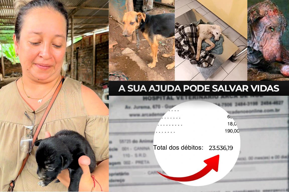 Animais do Refúgio da Lulu precisando de ajuda